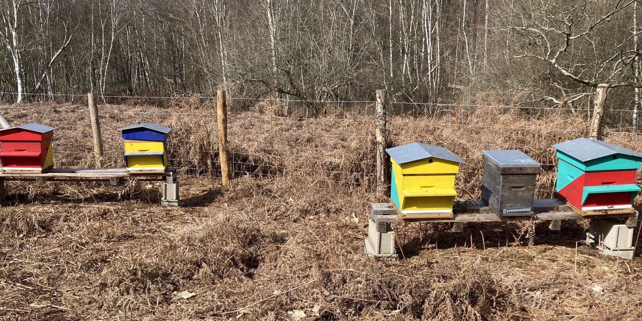 Ruches à la Fontaîne Saint Caprais