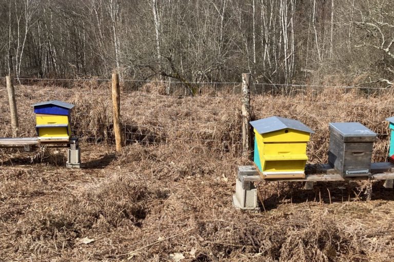 Ruches à la Fontaîne Saint Caprais
